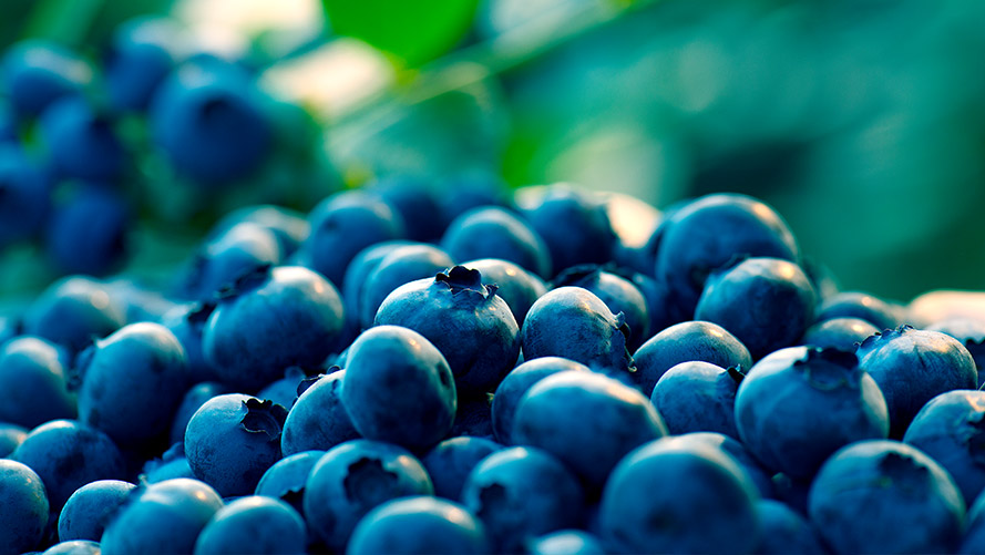 批量生產定制服務